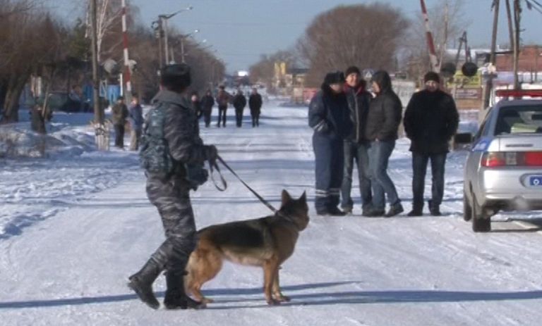 Сотрудник полиции с собакой дежурит у исправительной колонии №6 города Копейска Челябинской области