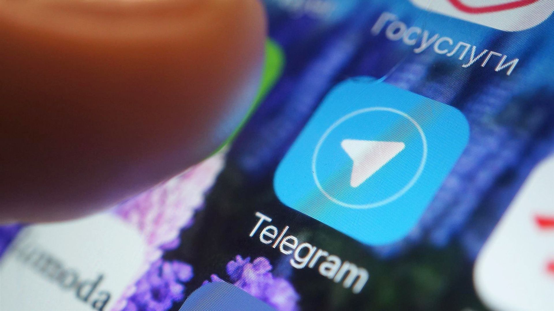 Логотип мессенджера Telegram - РИА Новости, 1920, 14.01.2026