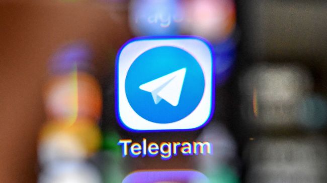 Логотип мессенджера Telegram. Архивное фото Логотип мессенджера Telegram. Архивное фото