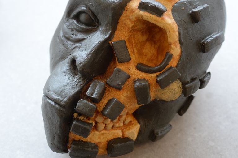 Реконструкция вида древних людей Homo naledi