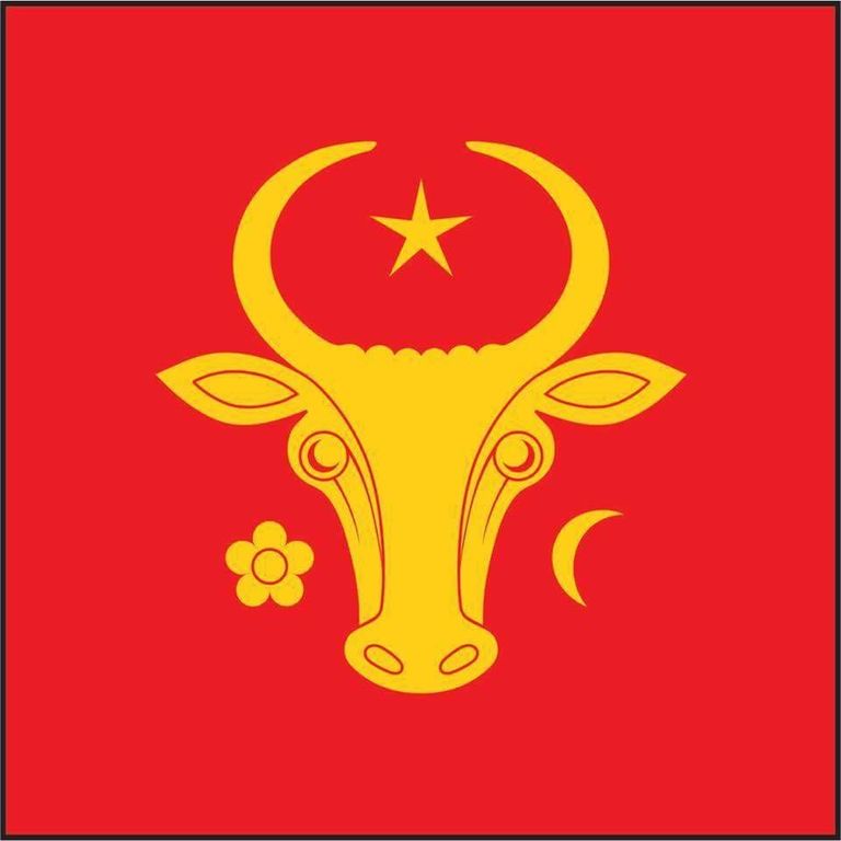 Флаг Стефана Великого 