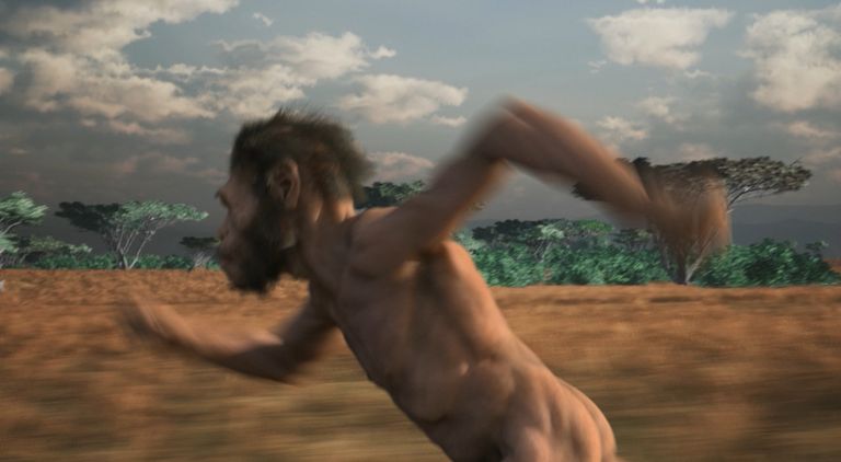 Кадр из мультфильма Homo naledi: Встреча двух миров Кадр из мультфильма Homo naledi: Встреча двух миров