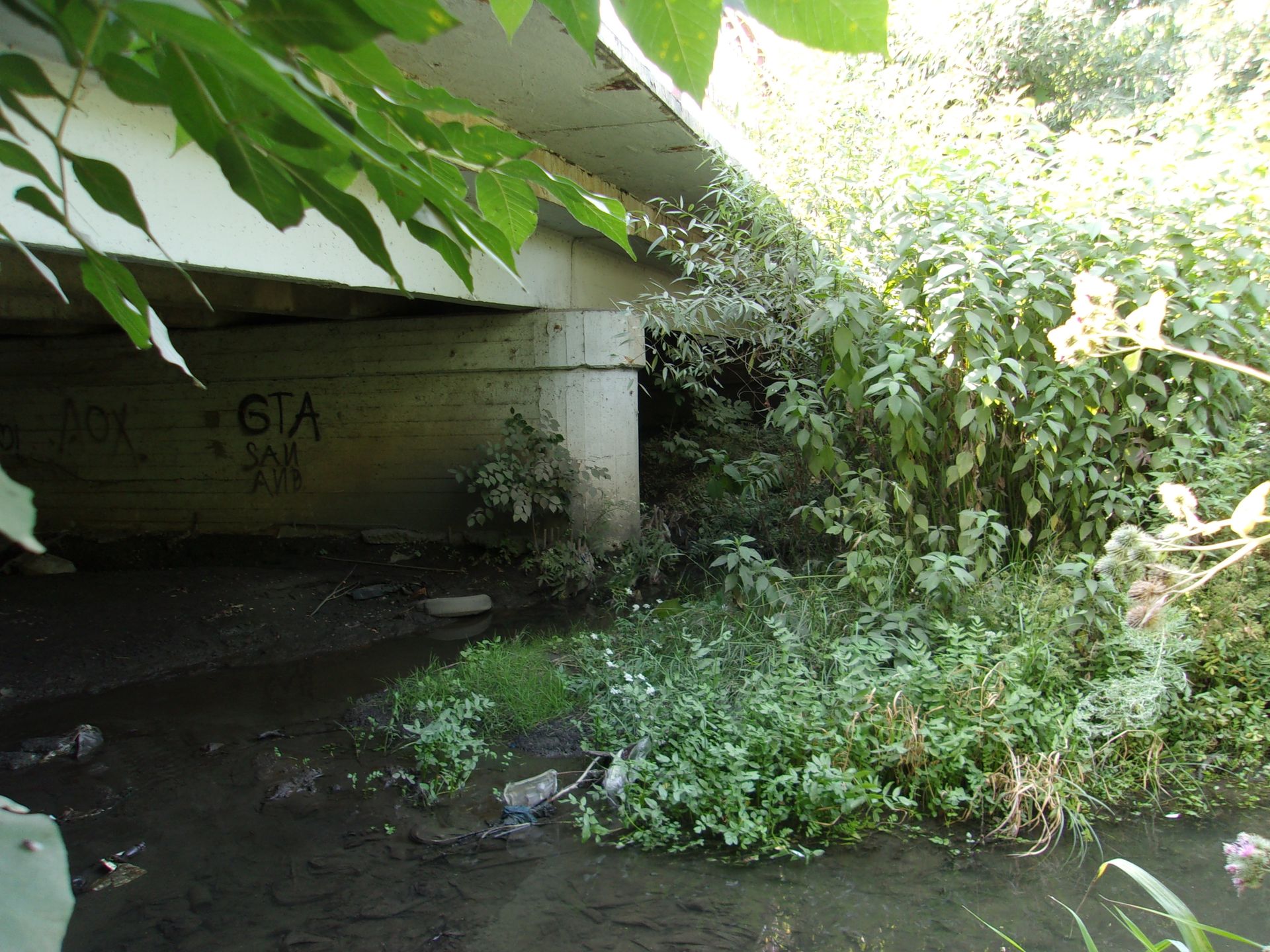 Грушевский мост, г. Шахты, вид с востока. Здесь 24 декабря 1978 года было обнаружено тело первой жертвы Андрея Чикатило — 9-летней Елены Закотновой Грушевский мост, г. Шахты, вид с востока. Здесь 24 декабря 1978 года было обнаружено тело первой жертвы Андрея Чикатило — 9-летней Елены Закотновой - РИА Новости, 1920, 06.08.2025