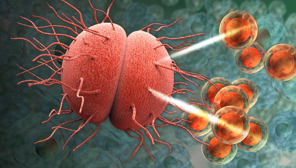 Супербактерия Neisseria gonorrhoeae устойчива практически ко всем известным антибиотикам Супербактерия Neisseria gonorrhoeae устойчива практически ко всем известным антибиотикам - РИА Новости, 1920, 15.10.2025