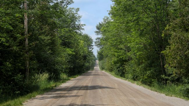 Загородная дорога Загородная дорога