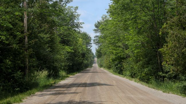 Загородная дорога Загородная дорога