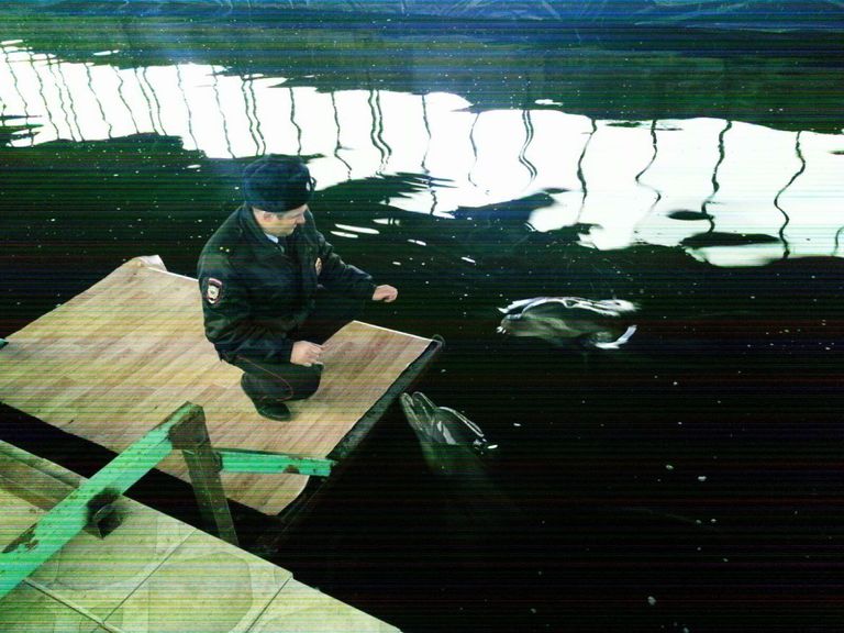 Дельфины, обнаруженные в поселке Веселовка Темрюкского района на территории животноводческой фермы