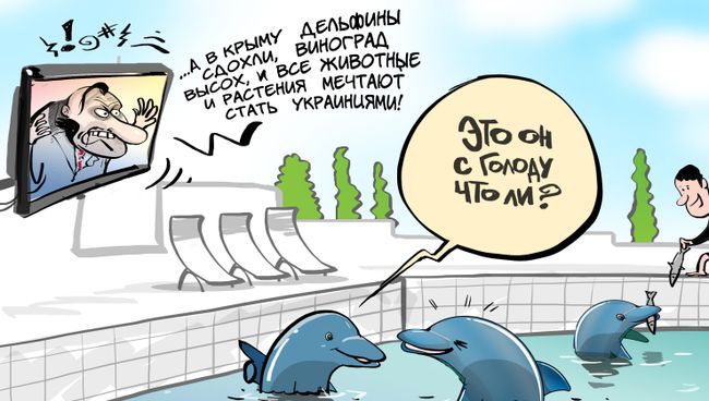 Приплыли Приплыли