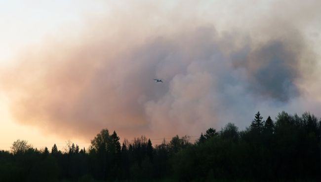 Облако дыма над территорией бывшего военного арсенала в Удмуртии в результате пожара. 16 мая 2018 Облако дыма над территорией бывшего военного арсенала в Удмуртии в результате пожара. 16 мая 2018