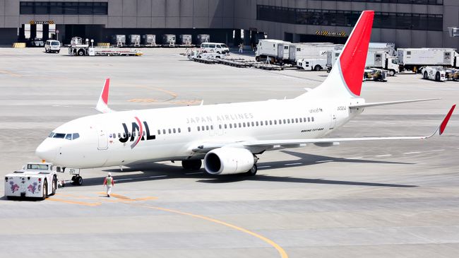 Самолет японской авиакомпании JAL. Архивное фото Самолет японской авиакомпании JAL. Архивное фото