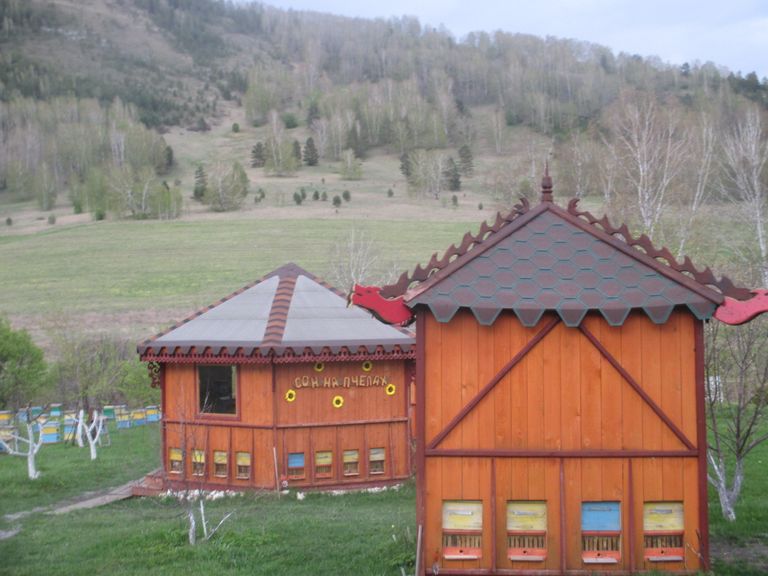 Алтай. Пасека Алтай. Пасека