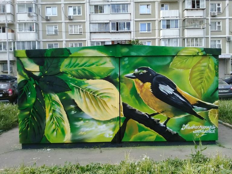 Желтоспинная мухоловка на улице Перерва,59б Желтоспинная мухоловка на улице Перерва,59б