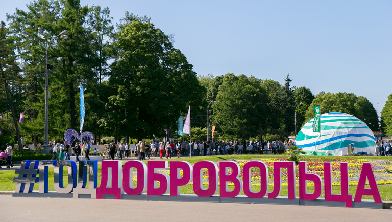 Участники и гости Большого фестиваля добровольцев в Сокольниках