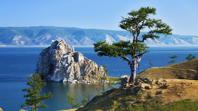 Дерево желаний на озере Байкал