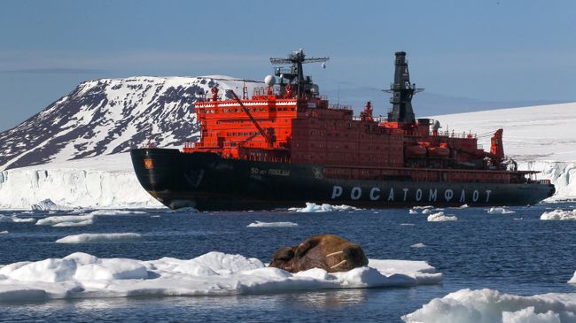 Морж на льдине у берегов одного из островов архипелага Земля Франца-Иосифа. Архивное фото Морж на льдине у берегов одного из островов архипелага Земля Франца-Иосифа. Архивное фото