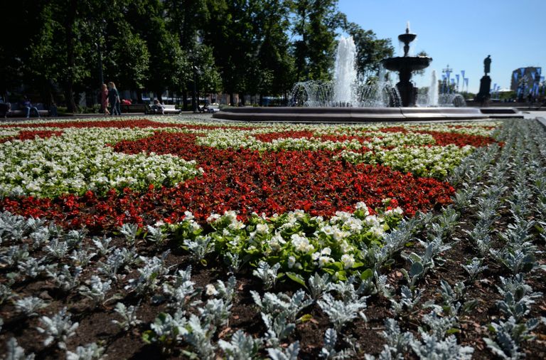 Цветник на Пушкинской площади в Москве Цветник на Пушкинской площади в Москве