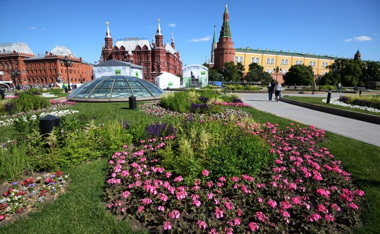 Цветник на Манежной площадь в Москве Цветник на Манежной площадь в Москве