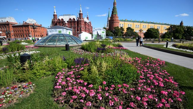 Цветник на Манежной площадь в Москве. Архивное фото Цветник на Манежной площадь в Москве. Архивное фото