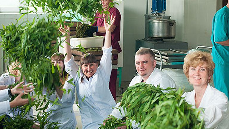 Гастрономический фестиваль Ах!Фест на Алтае Гастрономический фестиваль Ах!Фест на Алтае