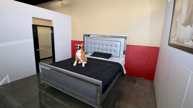 Номер для собак в отеле Barkingham Pet Hotel в Калифорнии Номер для собак в отеле Barkingham Pet Hotel в Калифорнии