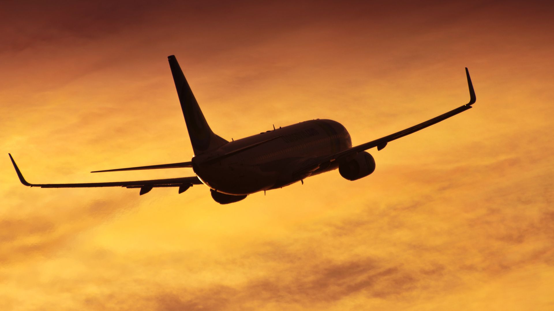 Самолет Boeing 737-800 Самолет Boeing 737-800 - РИА Новости, 1920, 30.12.2024