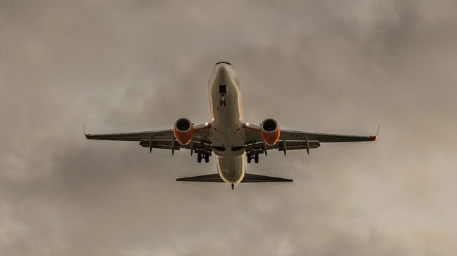 Самолет Boeing 737 Самолет Boeing 737