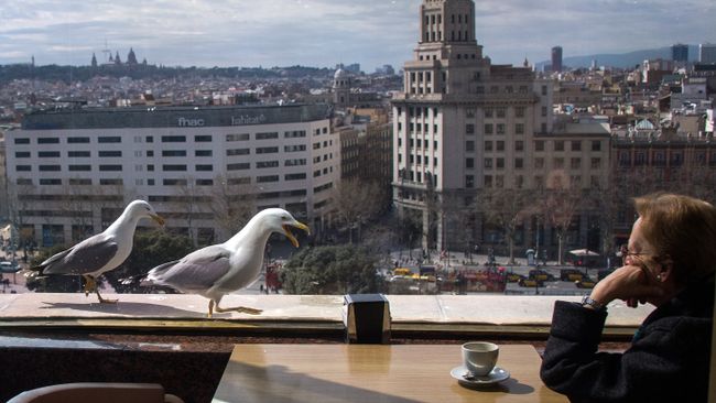 Женщина в кафе напротив площади Plaza de Espana Женщина в кафе напротив площади Plaza de Espana