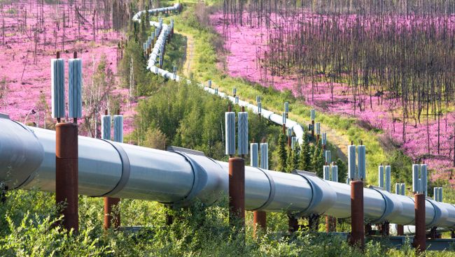 Трансаляскинский нефтепровод. Архивное фото Трансаляскинский нефтепровод. Архивное фото