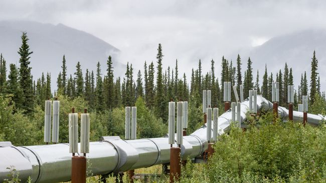 Трансаляскинский нефтепровод Трансаляскинский нефтепровод