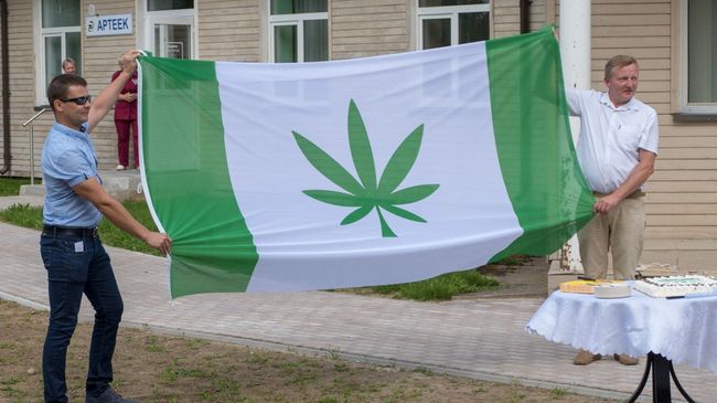 Официальный флаг с изображением листа конопли у здания волостного управления Канепи, Эстония. 13 июля 2018 Официальный флаг с изображением листа конопли у здания волостного управления Канепи, Эстония. 13 июля 2018