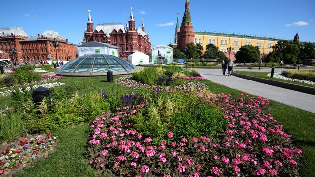 Цветник на Манежной площади в Москве. Архивное фото