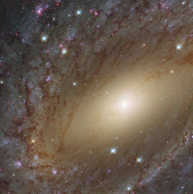 Галактика NGC 6744 в созвездии Павлина Галактика NGC 6744 в созвездии Павлина