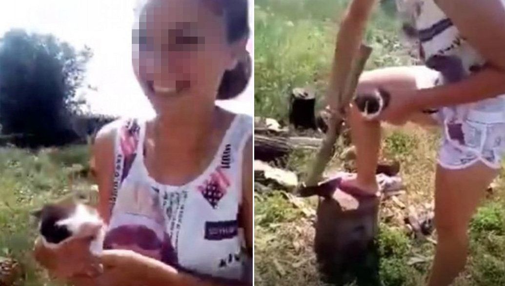 Стоп-кадр видео с издевательствами над котенком Стоп-кадр видео с издевательствами над котенком - РИА Новости, 1920, 25.07.2018