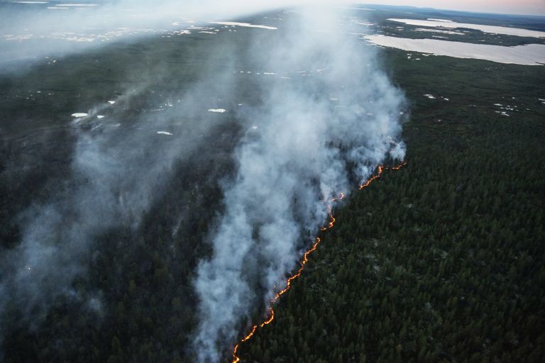 Лесной пожар в тундре в районе реки Лосинга в Мурманской области Лесной пожар в тундре в районе реки Лосинга в Мурманской области