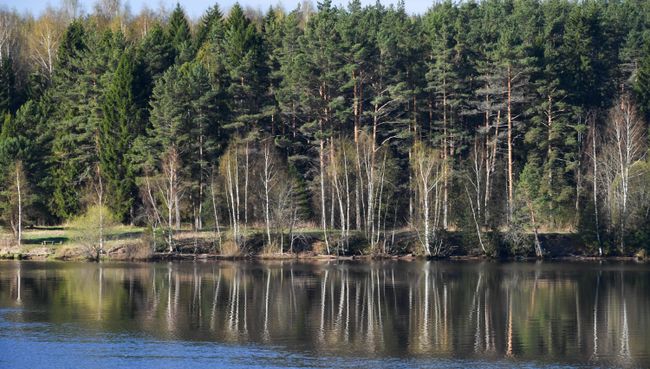 Заповедник