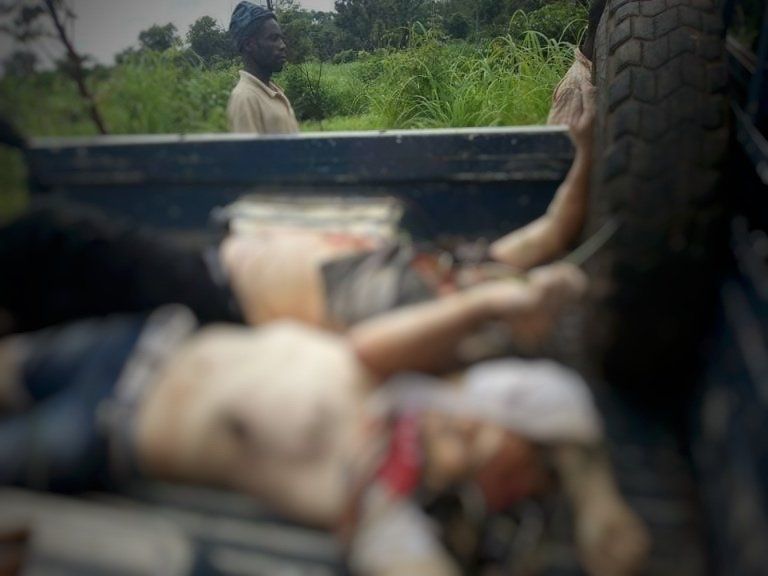 Погибшие в ЦАР российские журналисты со следами пыток Погибшие в ЦАР российские журналисты со следами пыток