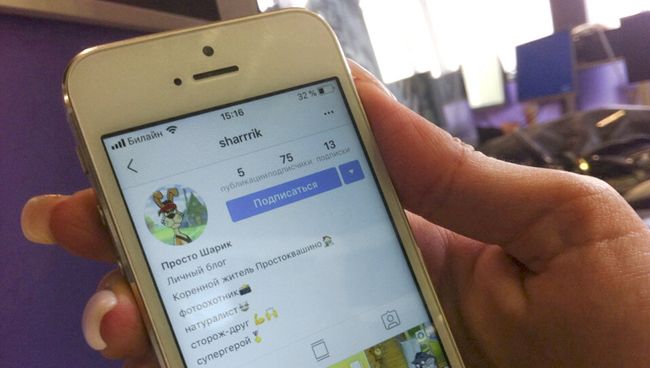 Страница героя мультфильма Простоквашино Шарика в Instagram Страница героя мультфильма Простоквашино Шарика в Instagram