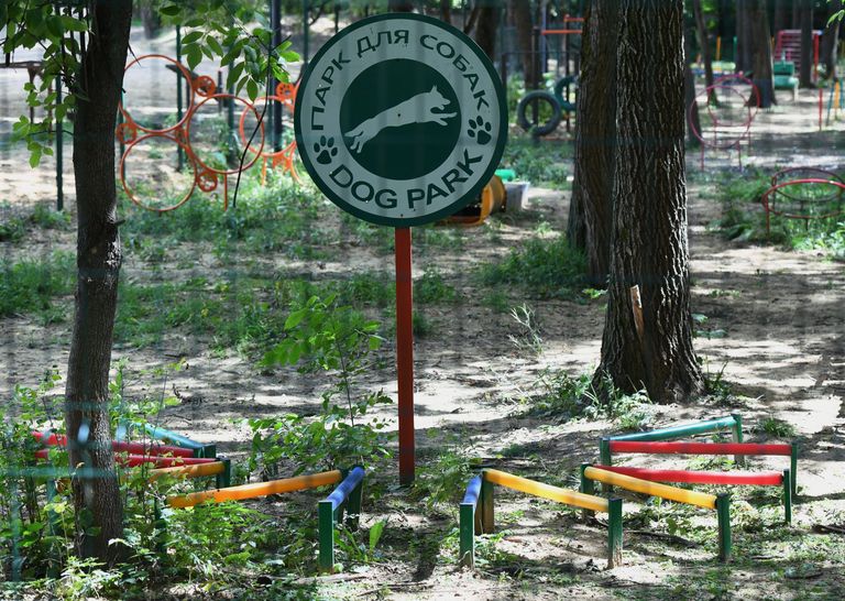 Собачая площадка в Грачевском парке Собачая площадка в Грачевском парке