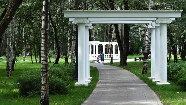 Вымощенная дорожка в Грачевском парке Вымощенная дорожка в Грачевском парке