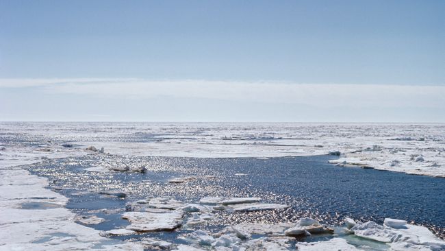 Море Лаптевых Море Лаптевых