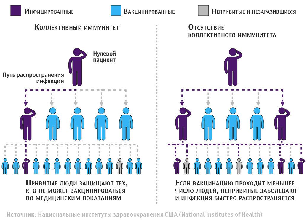 Механизм работы коллективного иммунитета Механизм работы коллективного иммунитета - РИА Новости, 1920, 18.12.2020