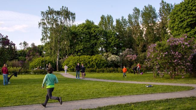 Парк в Москве Парк в Москве