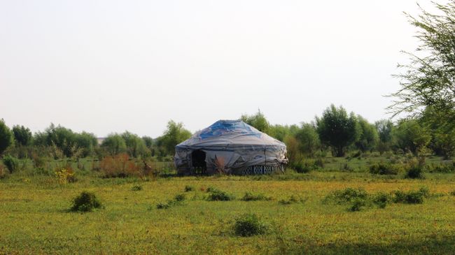Пустыня Кузупчи, Внутренняя Монголия, Китай