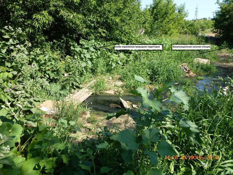 Общий вид на реку в природномпарке Общий вид на реку в природномпарке