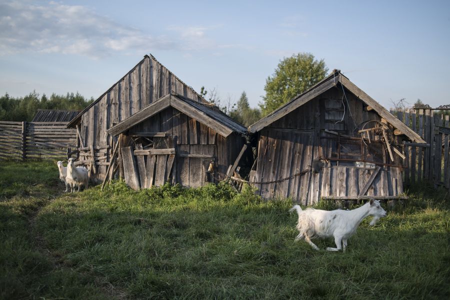 Село Кукуй. Макарьевский район, Костромская область