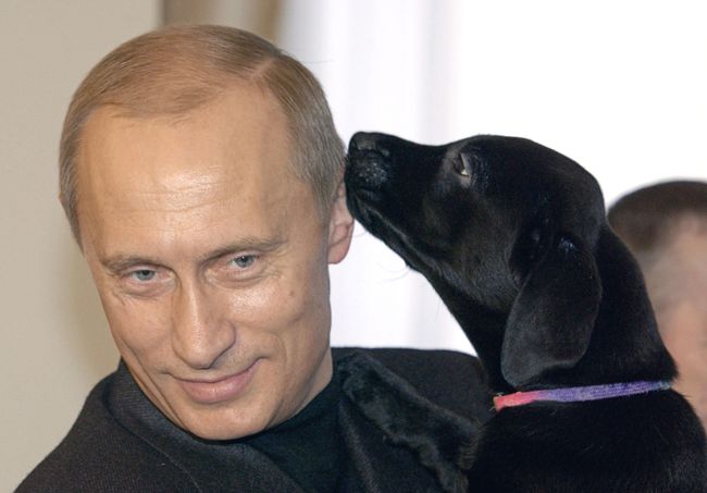 В.Путин с ценком лабрадора Кони В.Путин с ценком лабрадора Кони