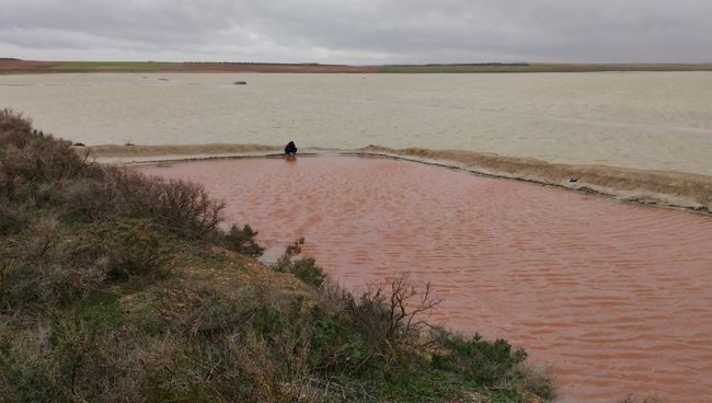 Озеро Тирес, где ученые открыли первые «марсианские» водоросли Озеро Тирес, где ученые открыли первые «марсианские» водоросли