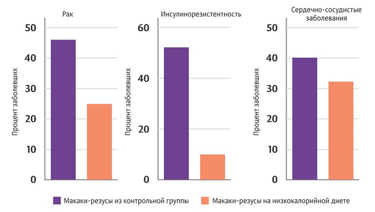 Процент заболевших животных
