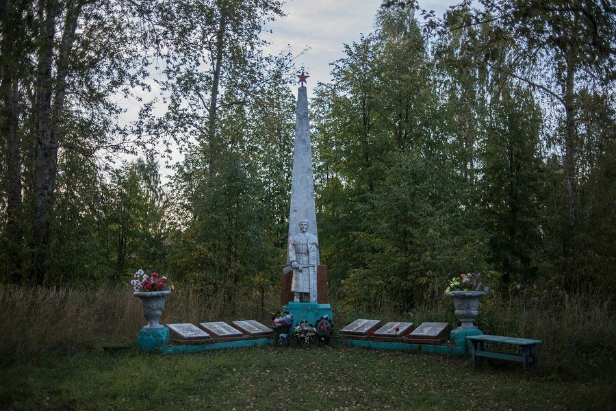Виды села Тимошино, Макарьевский район, Костромская область