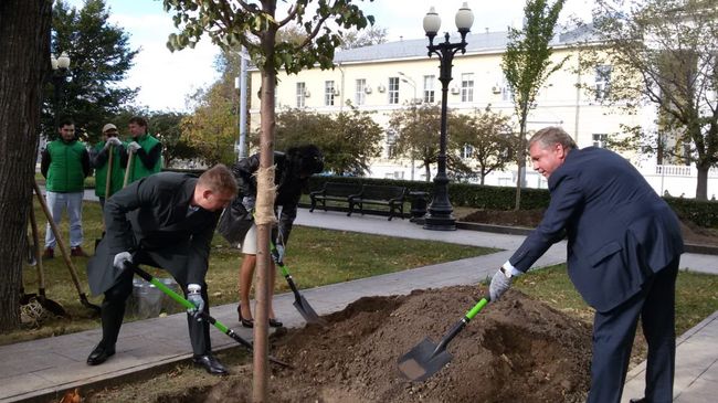 Представители московских властей совместно с венгерской делегацией высадили в сквере на Кудринской площади липу в рамках акции Дерево дружбы. 26 сентября 2018 Представители московских властей совместно с венгерской делегацией высадили в сквере на Кудринской площади липу в рамках акции Дерево дружбы. 26 сентября 2018